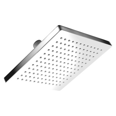 Stainless Steel Plastic Shower Head